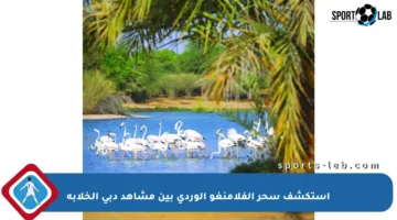 استكشف سحر الفلامنغو الوردي بين مشاهد دبي الخلابة